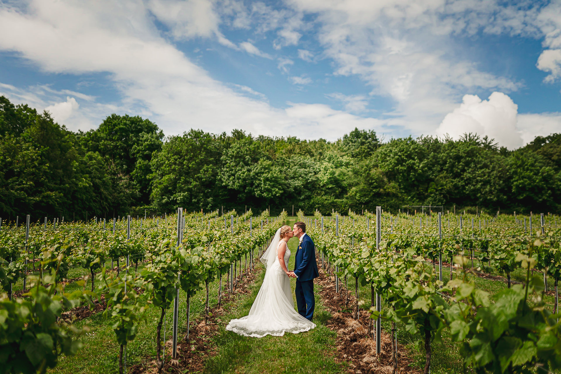 A bride and groom kiss whilst in the vine yards at aldwick estate near Bristol