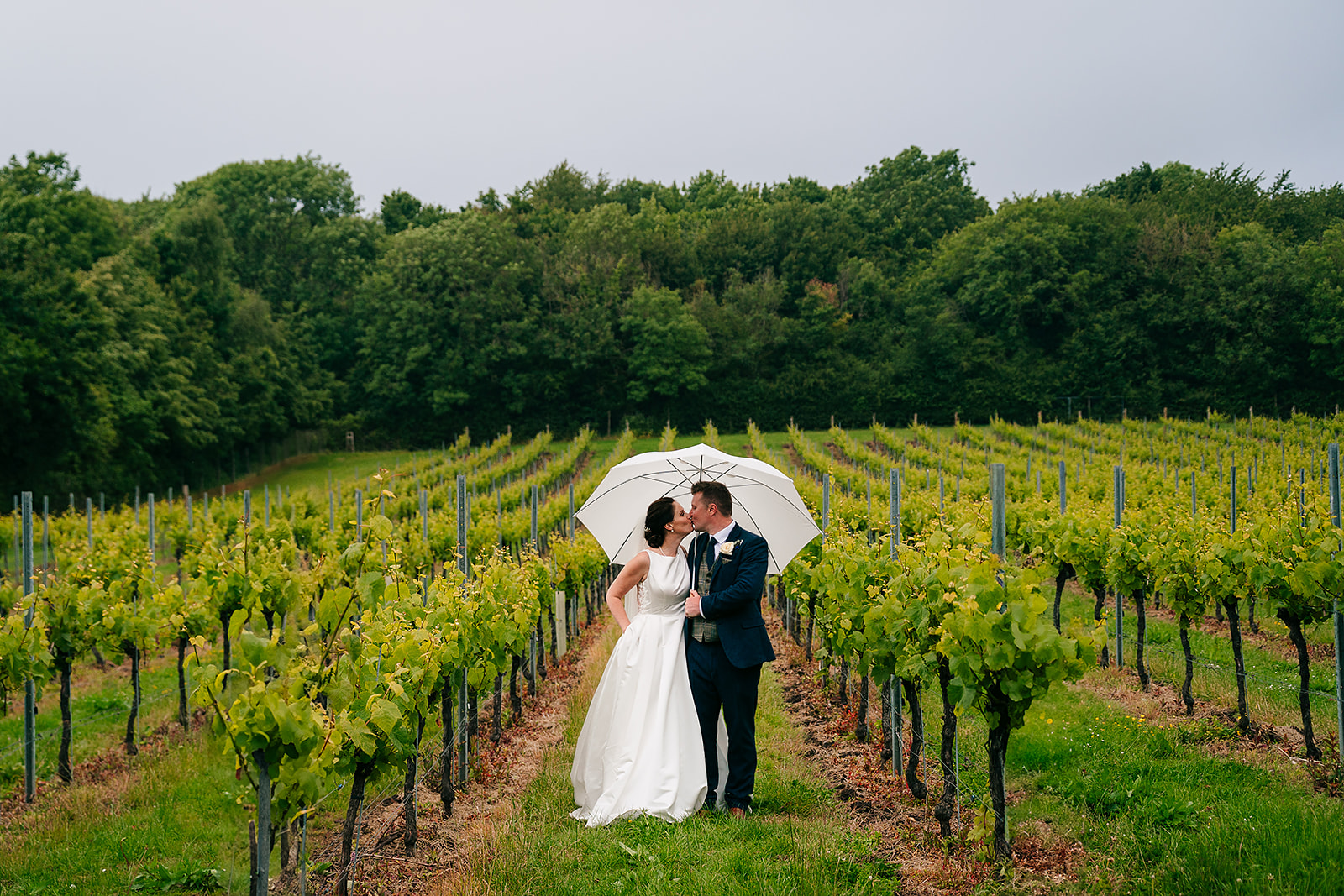 A couple stands under a white umbrella, embracing in the middle of a vineyard with rows of grapevines stretching out behind them and trees in the background.